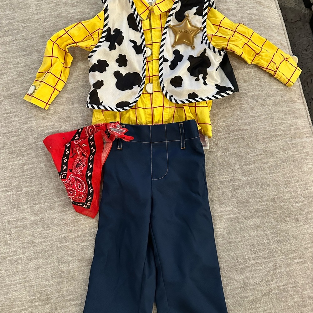 Toddler boy Woody Toy Story costume
